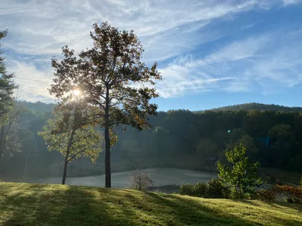 $4,450,000 | 3665 Creels Lane, The Plains, VA 20198