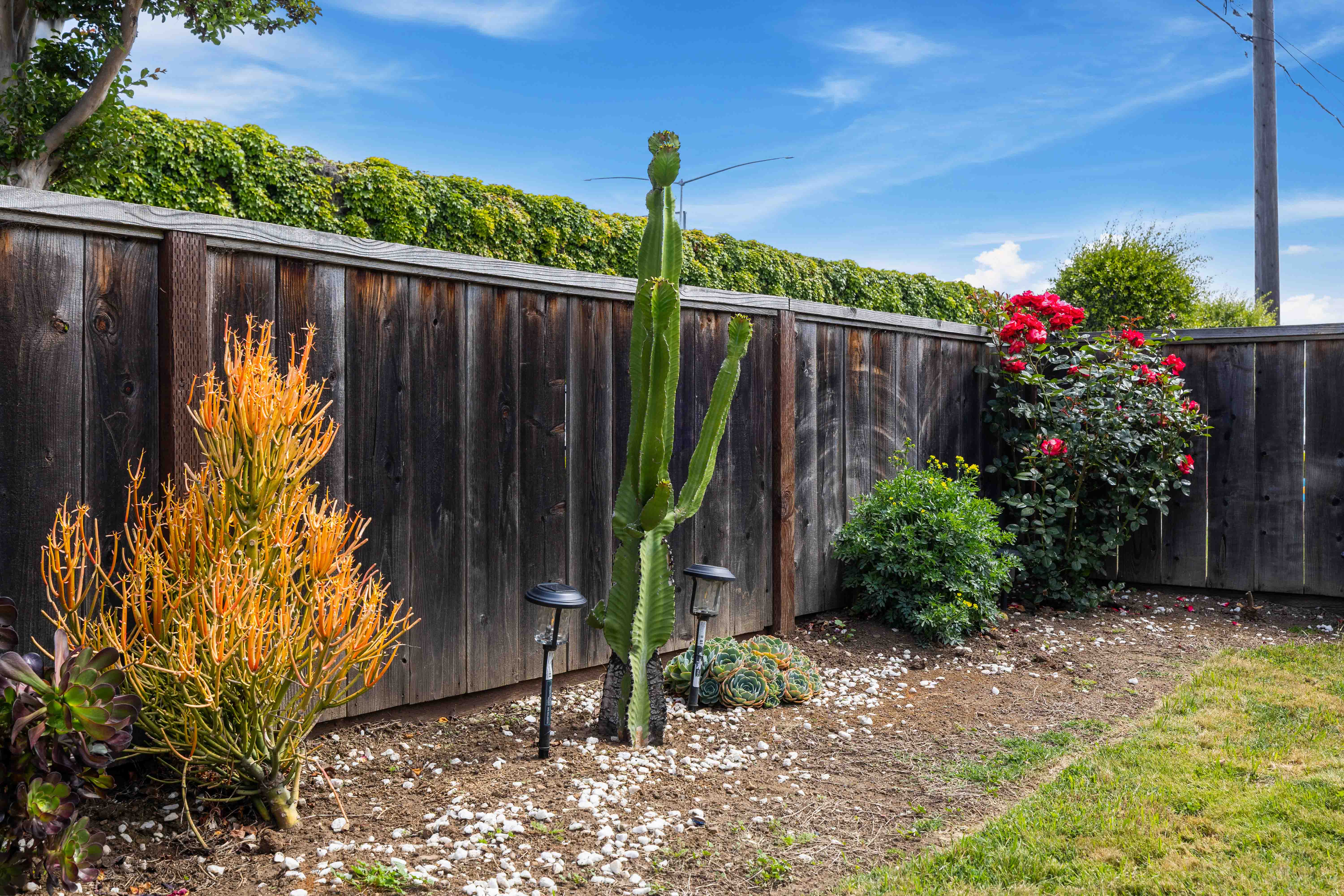 451 Rollins Road Burlingame, CA 94010 - Photo 23 of 40