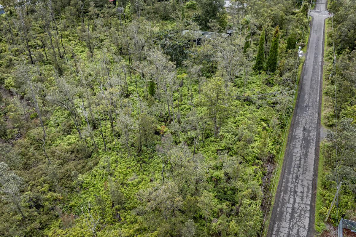 Anuhea Street Volcano, HI 96785 - Photo 18 of 22 a view of a forest with a tree
