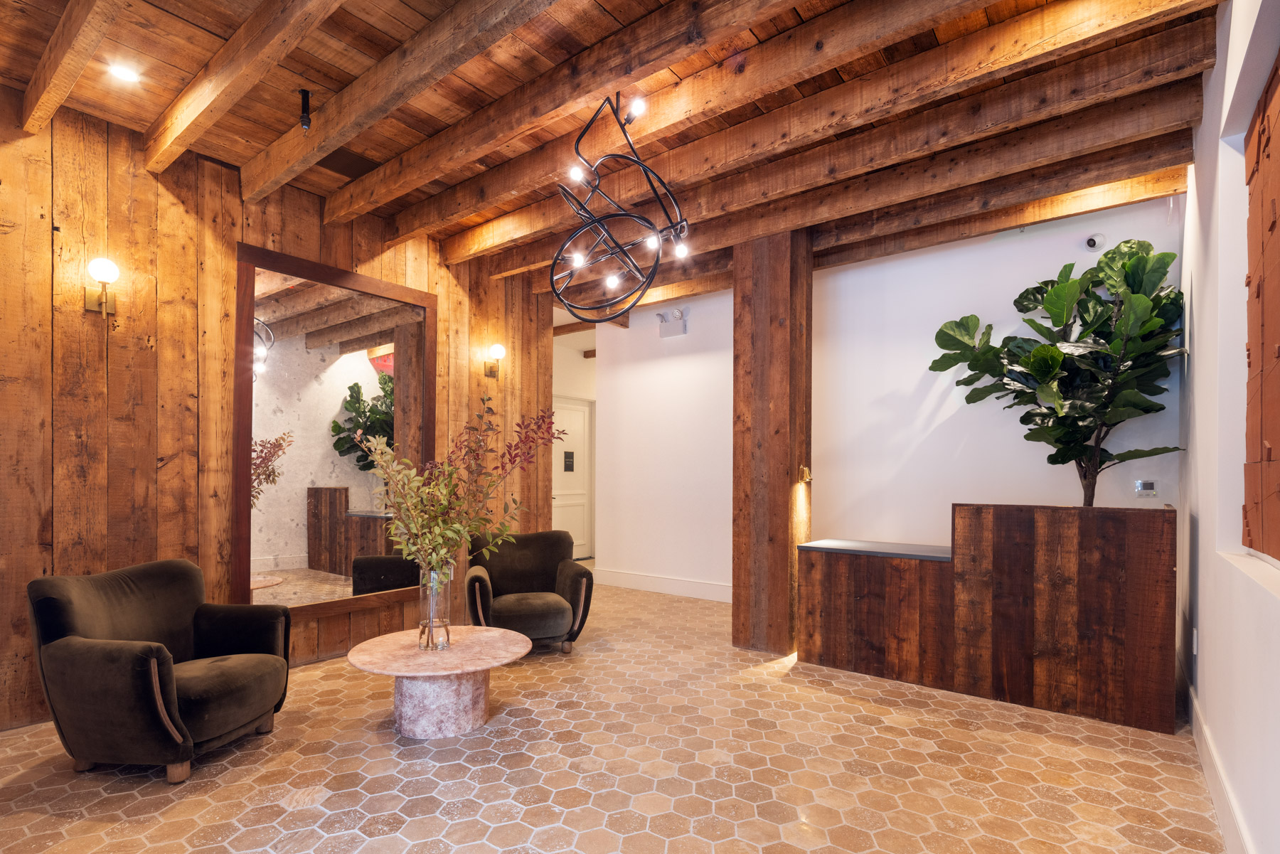 524 Halsey Street, Unit 105 Brooklyn, NY 11233 - Photo 13 of 15 a living room with furniture and a potted plant