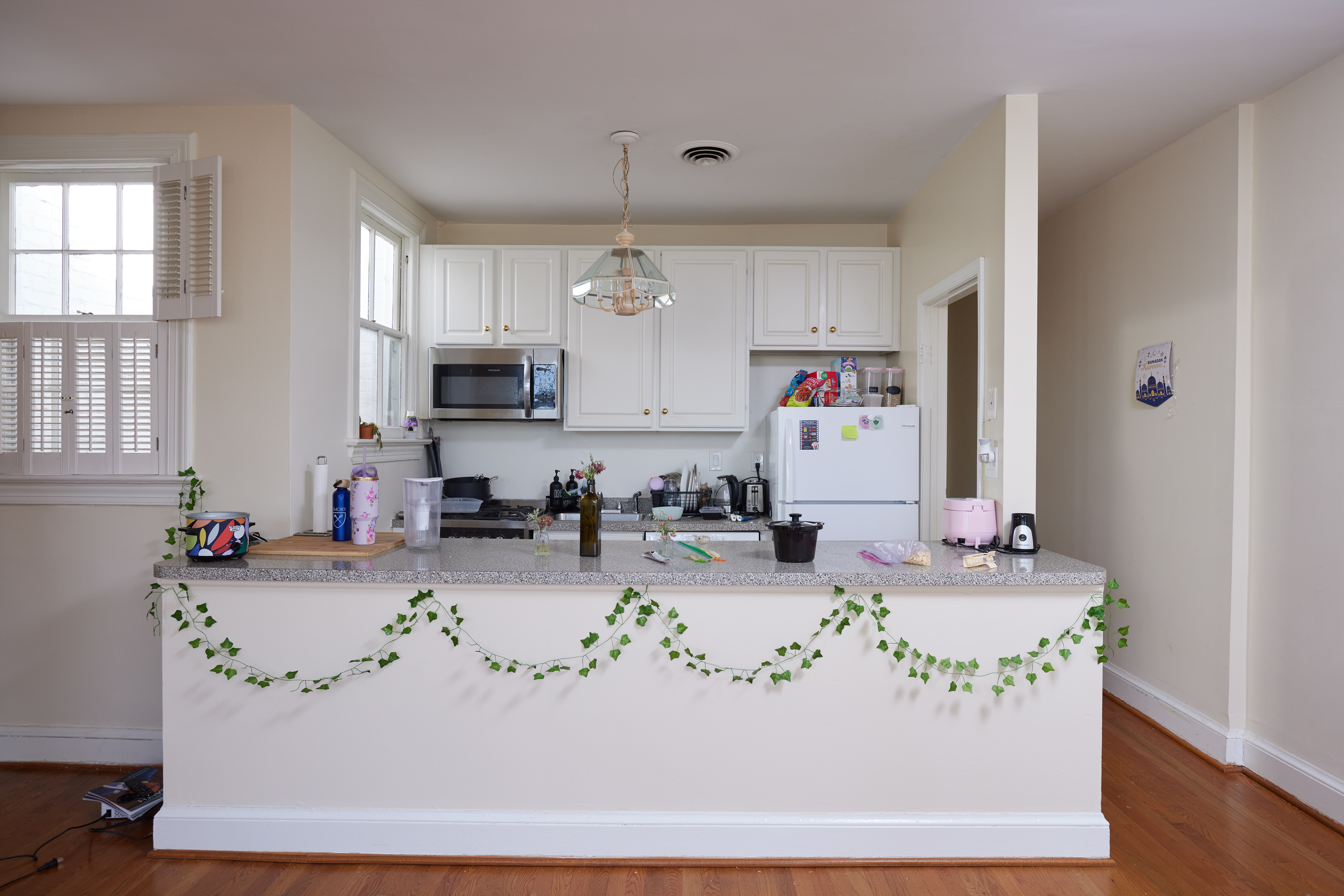 3420 R Street Northwest Washington, DC 20007 - Photo 35 of 53 a living room with kitchen countertops and a couch