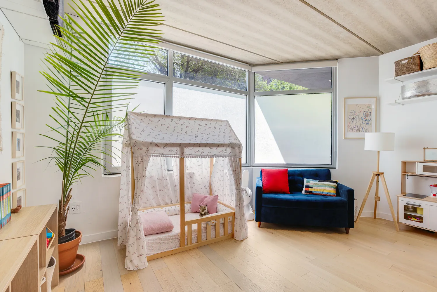 a living room with furniture and a potted plant