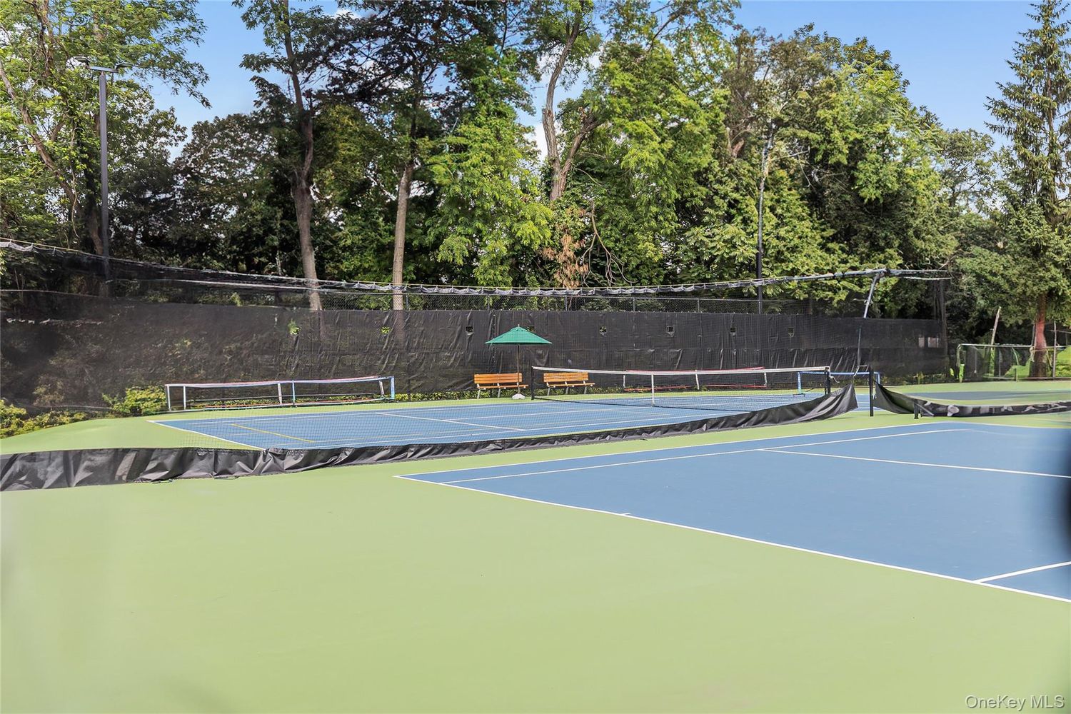 5800 Arlington Avenue, Unit 6L Bronx, NY 10471 - Photo 11 of 19 a view of swimming pool with a yard and large trees
