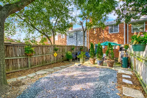 a view of backyard with wooden fence and a large tree