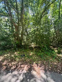 $27,000 | 205 Washington Lane, Green Cove Springs, FL 32043