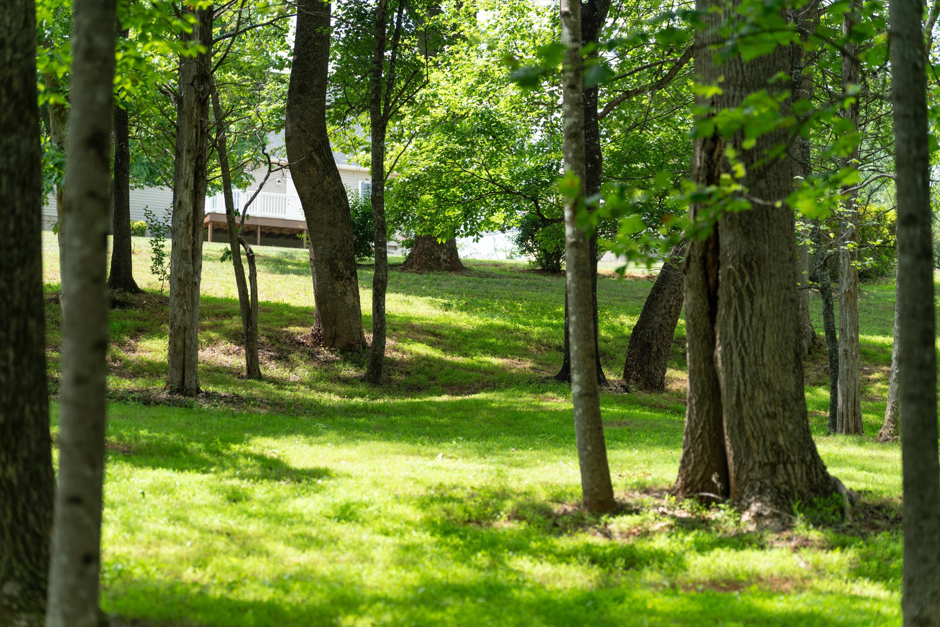 742 Valley View Road Ruckersville, VA 22968 - Photo 82 of 84