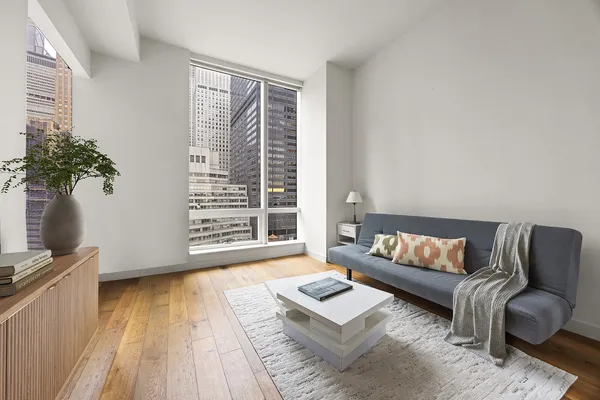 a living room with furniture and a potted plant