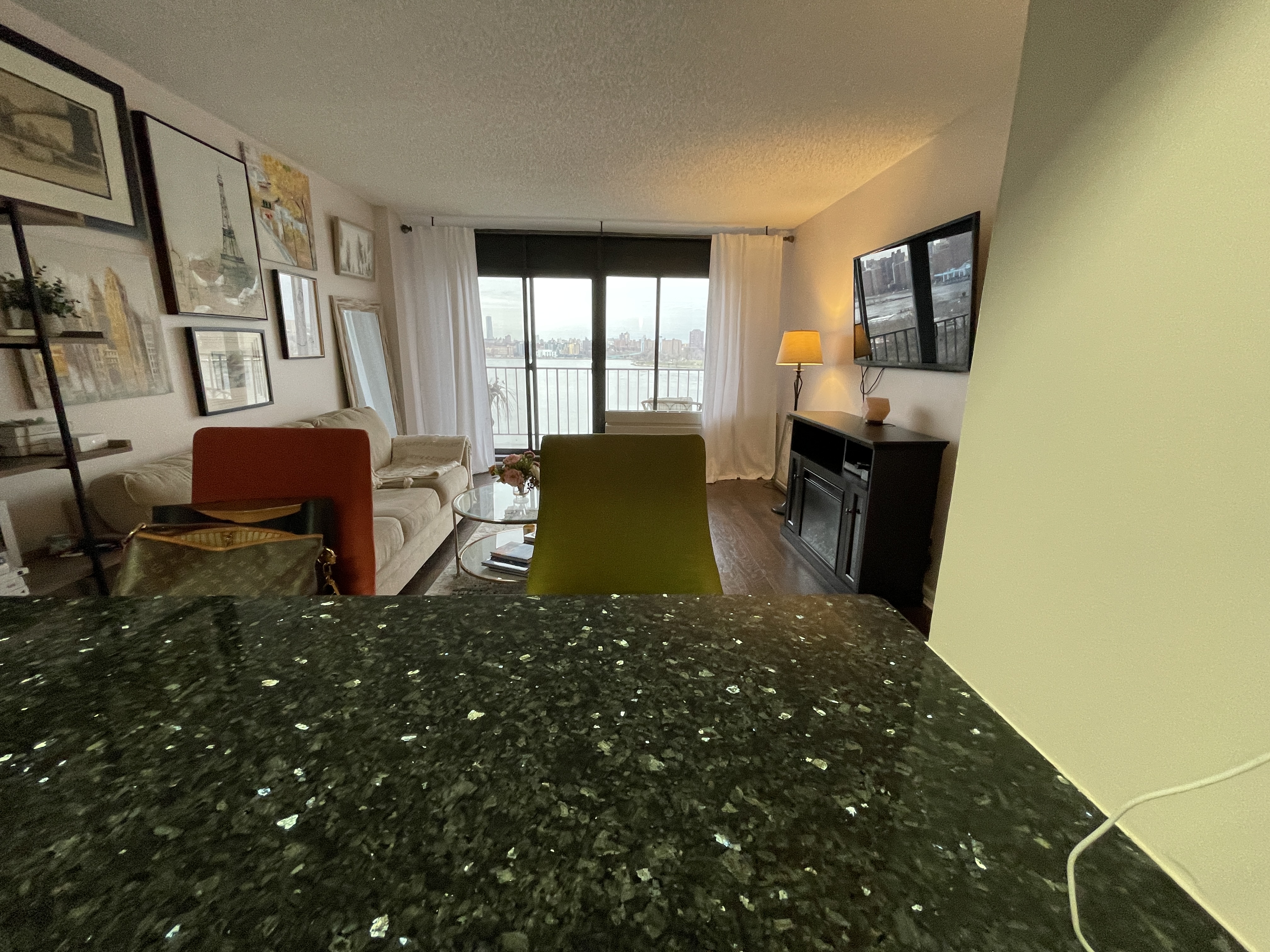 25-40 Shore Boulevard, Unit 8T Queens, NY 11102 - Photo 10 of 23