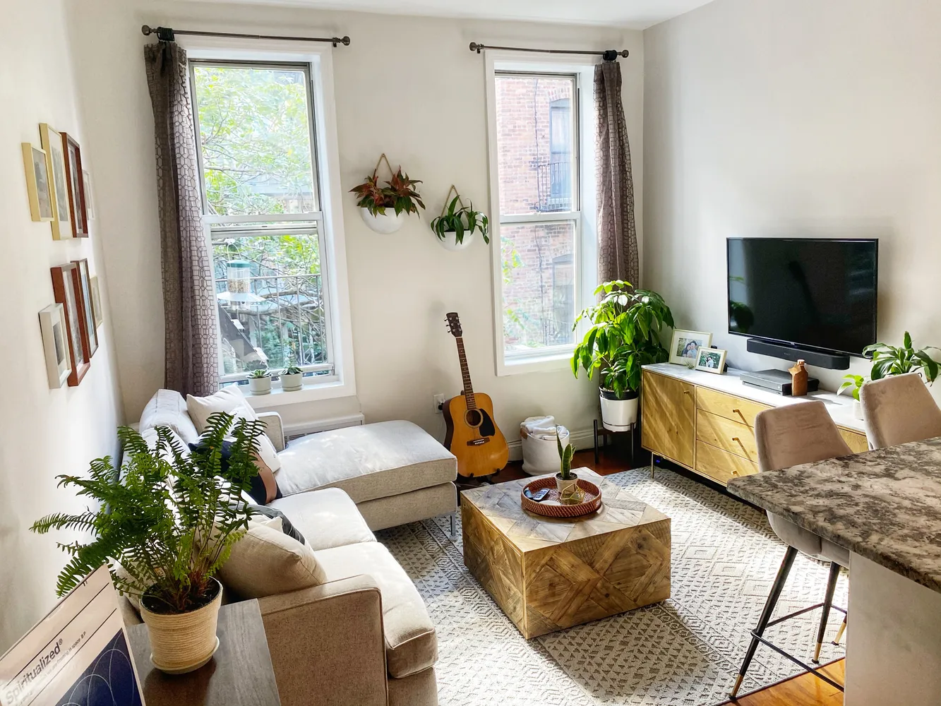 a living room with furniture potted plant and a window