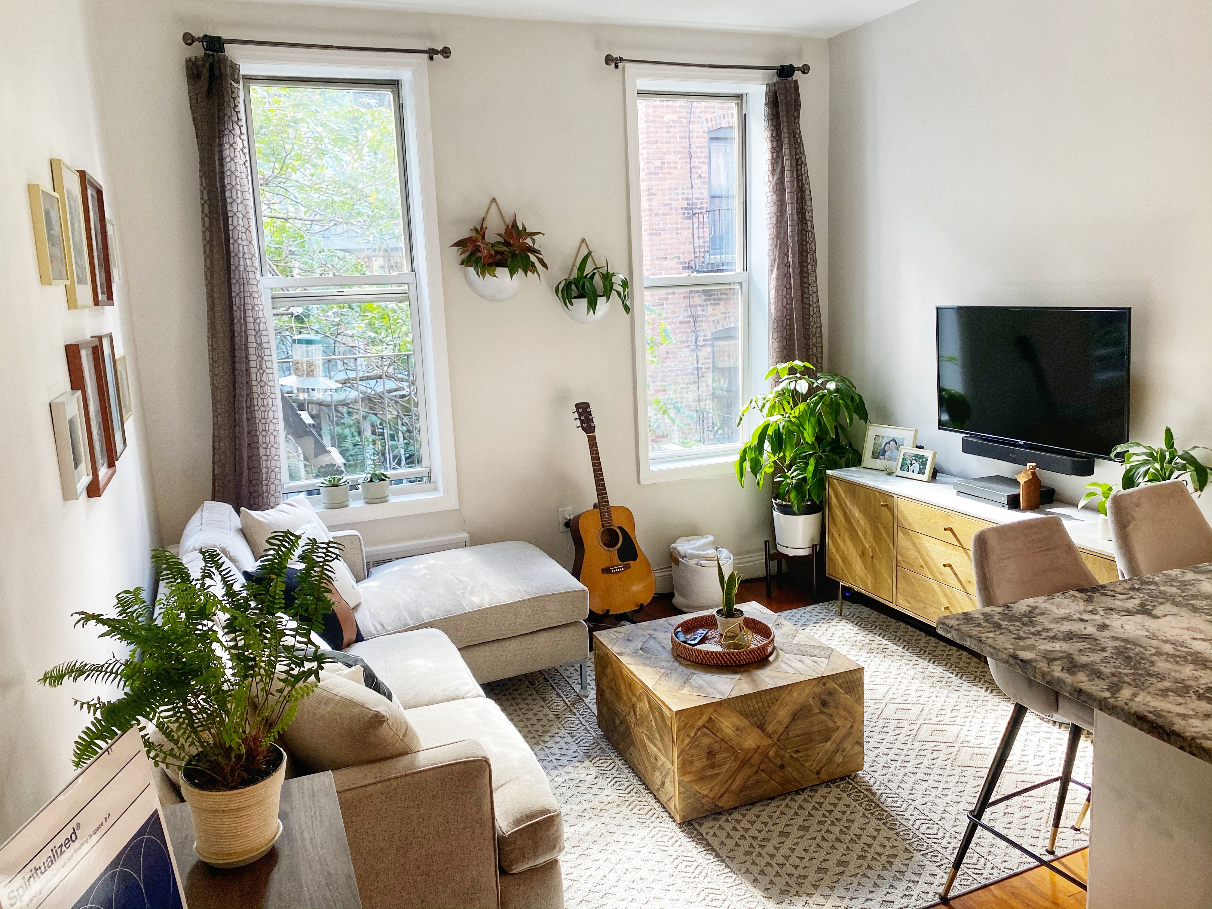 a living room with furniture potted plant and a window