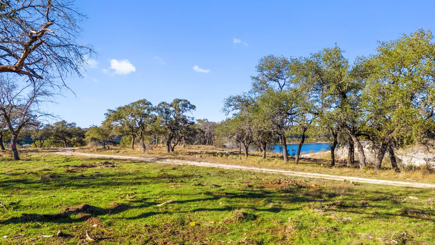 $15,995,000 | 1902 Patriot Drive, Lago Vista, TX 78645