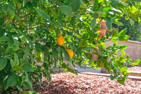 $939,000 | 39673 Montebello Way, Murrieta, CA 92563