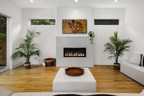 a living room with furniture and a potted plant