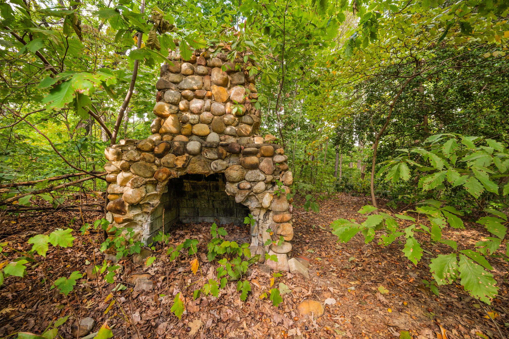 3104 Russell Road Alexandria, VA 22305 - Photo 32 of 62 a bathroom with a tree