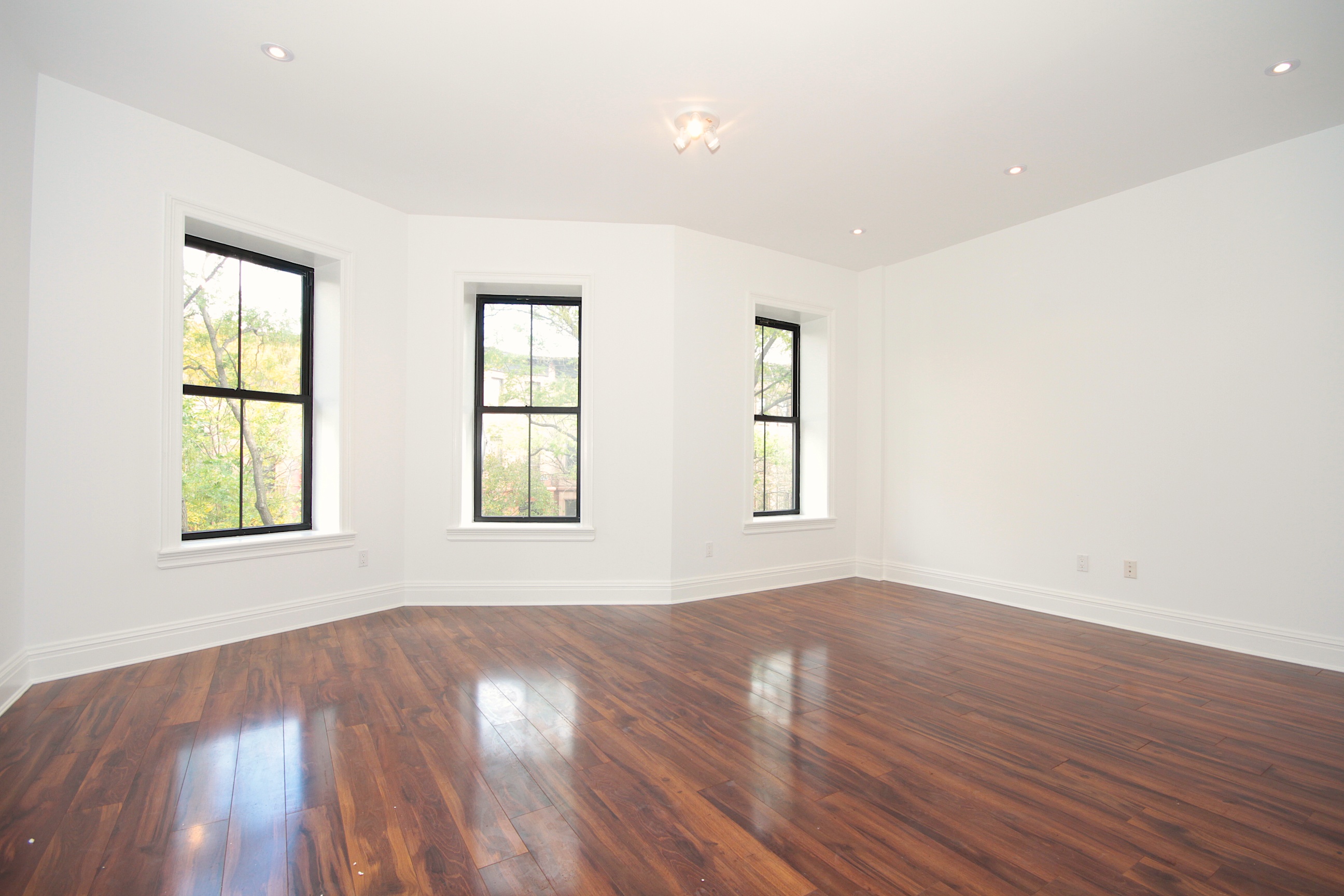 208 Prospect Place, Unit 2 Brooklyn, NY 11238 - Photo 2 of 14