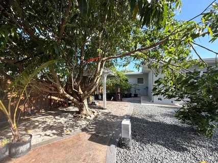 a wooden bench sitting in front of a tree