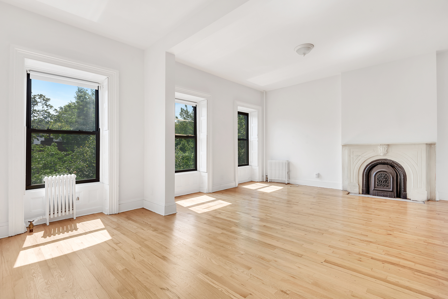 149 Prospect Place Brooklyn, NY 11238 - Photo 3 of 10