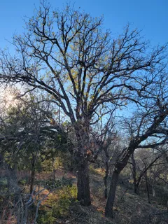 a sign on the side of a road