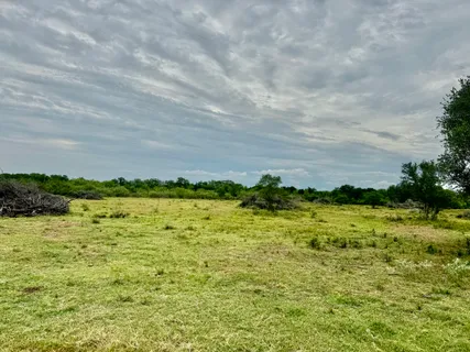 a view of a green yard