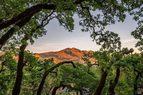 $2,995,000 | 807 Wild Oak Drive, Santa Rosa, CA 95409