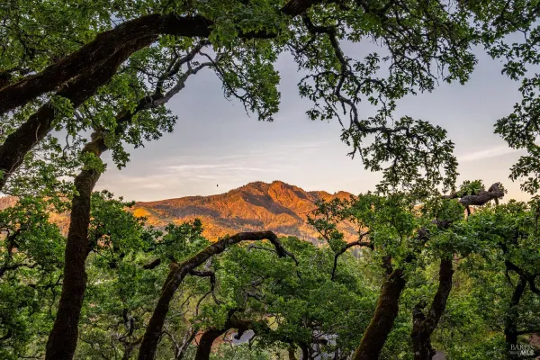 $2,995,000 | 807 Wild Oak Drive, Santa Rosa, CA 95409