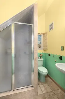 a bathroom with a toilet and a shower