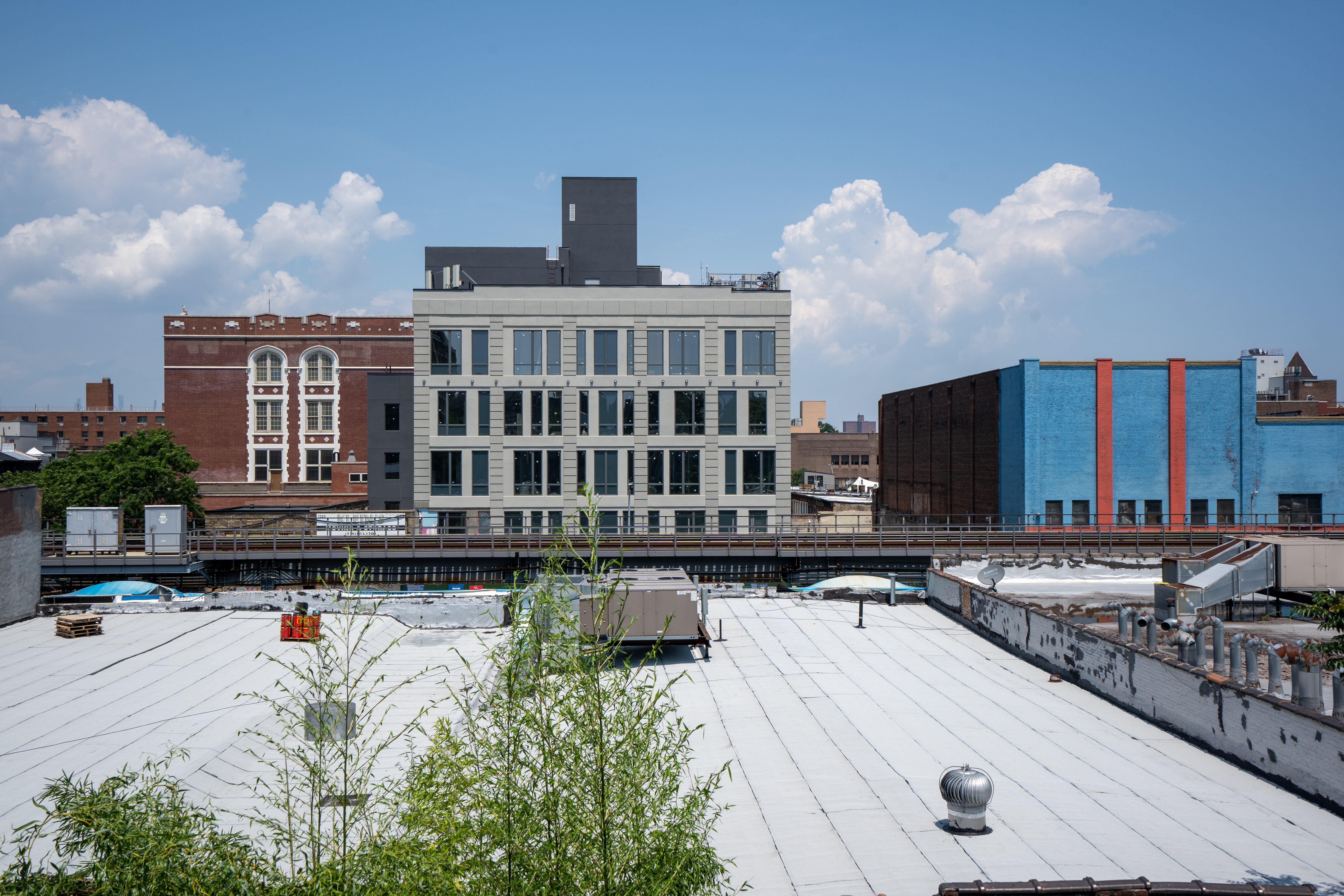 1379 Pacific Street, Unit 4 Brooklyn, NY 11216 - Photo 7 of 9