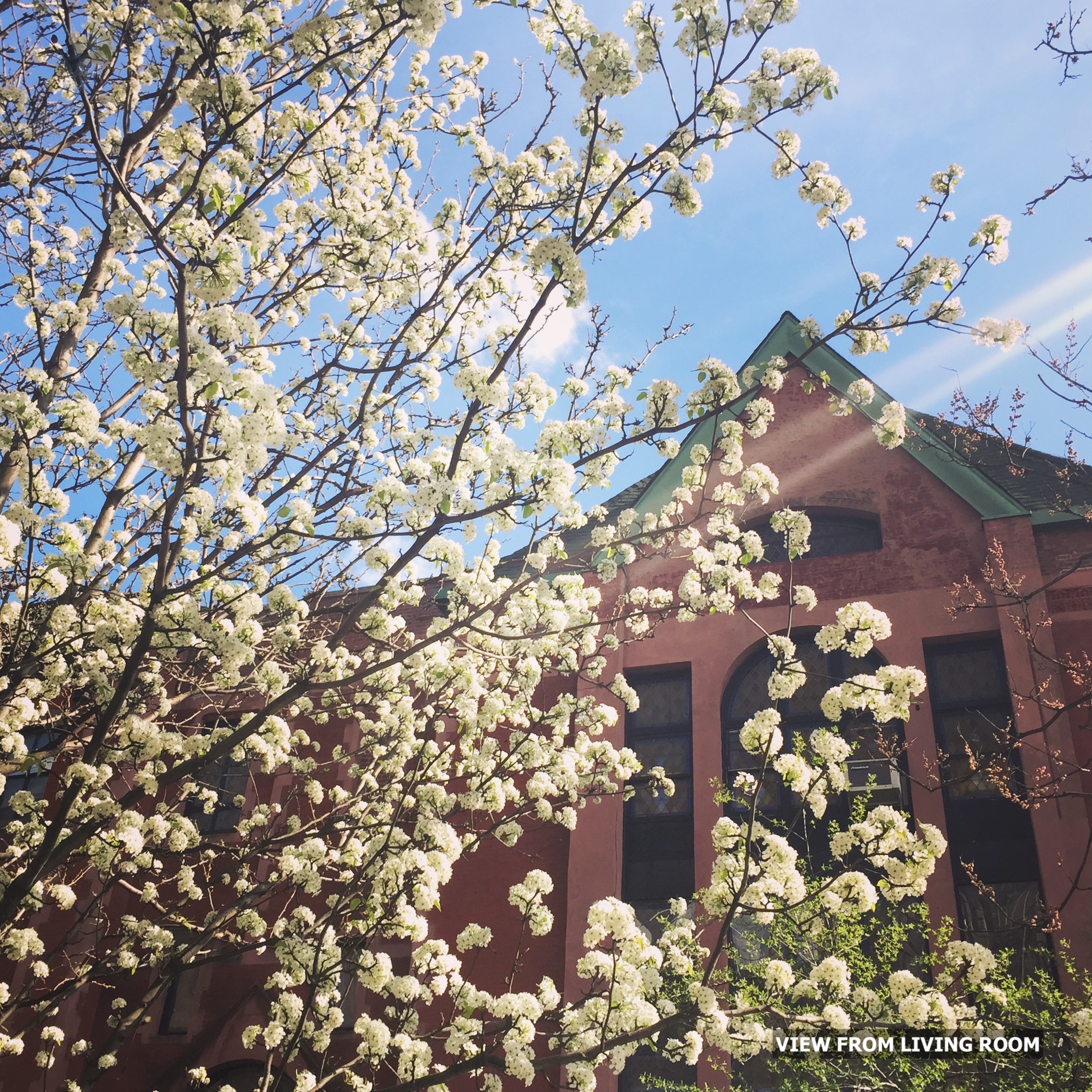 237 West 11th Street, Unit 3AC Manhattan, NY 10014 - Photo 16 of 17