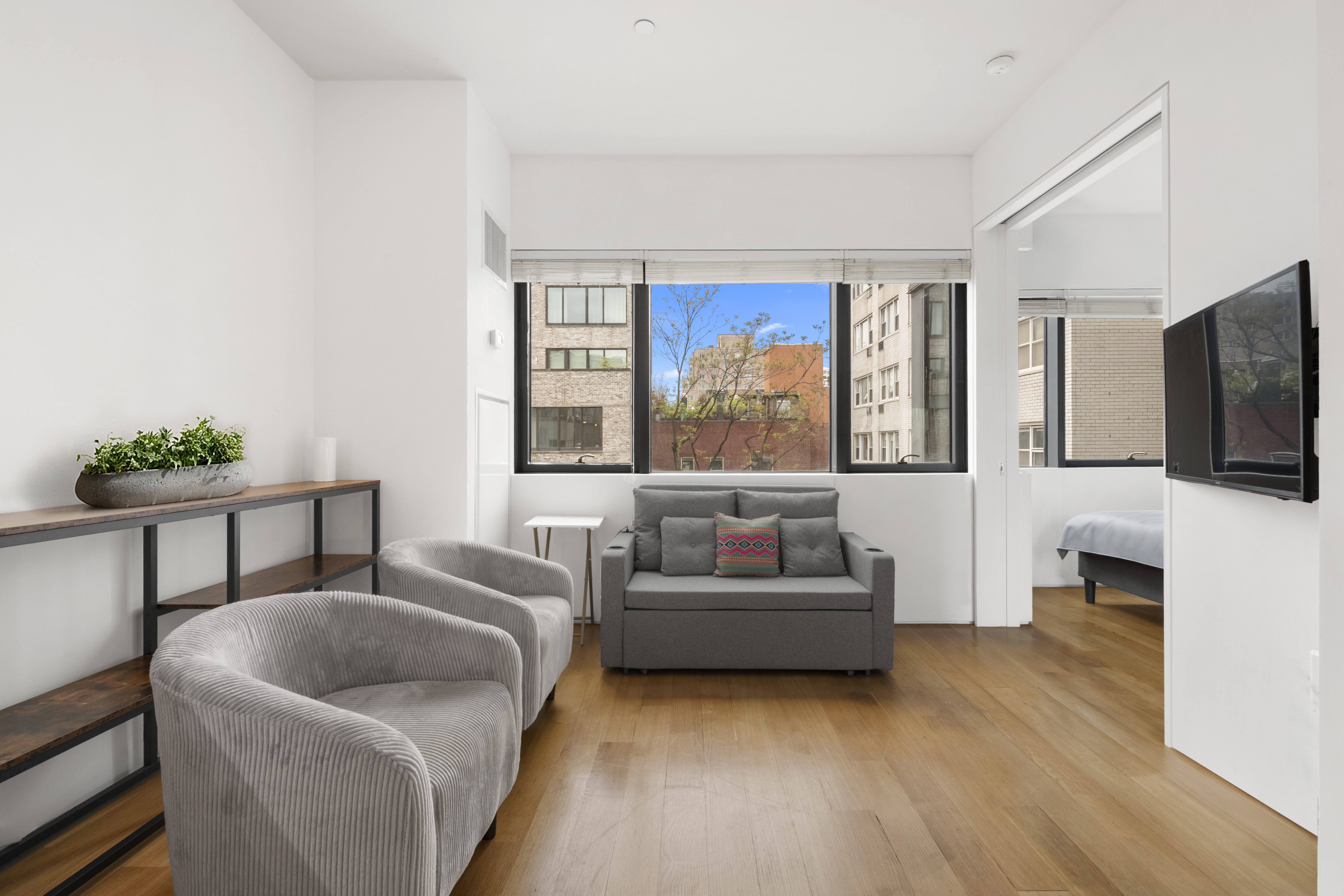 123 3rd Avenue, Unit 5D Manhattan, NY 10003 - Photo 1 of 12 a living room with furniture and a flat screen tv