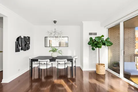 a living room with furniture and potted plant