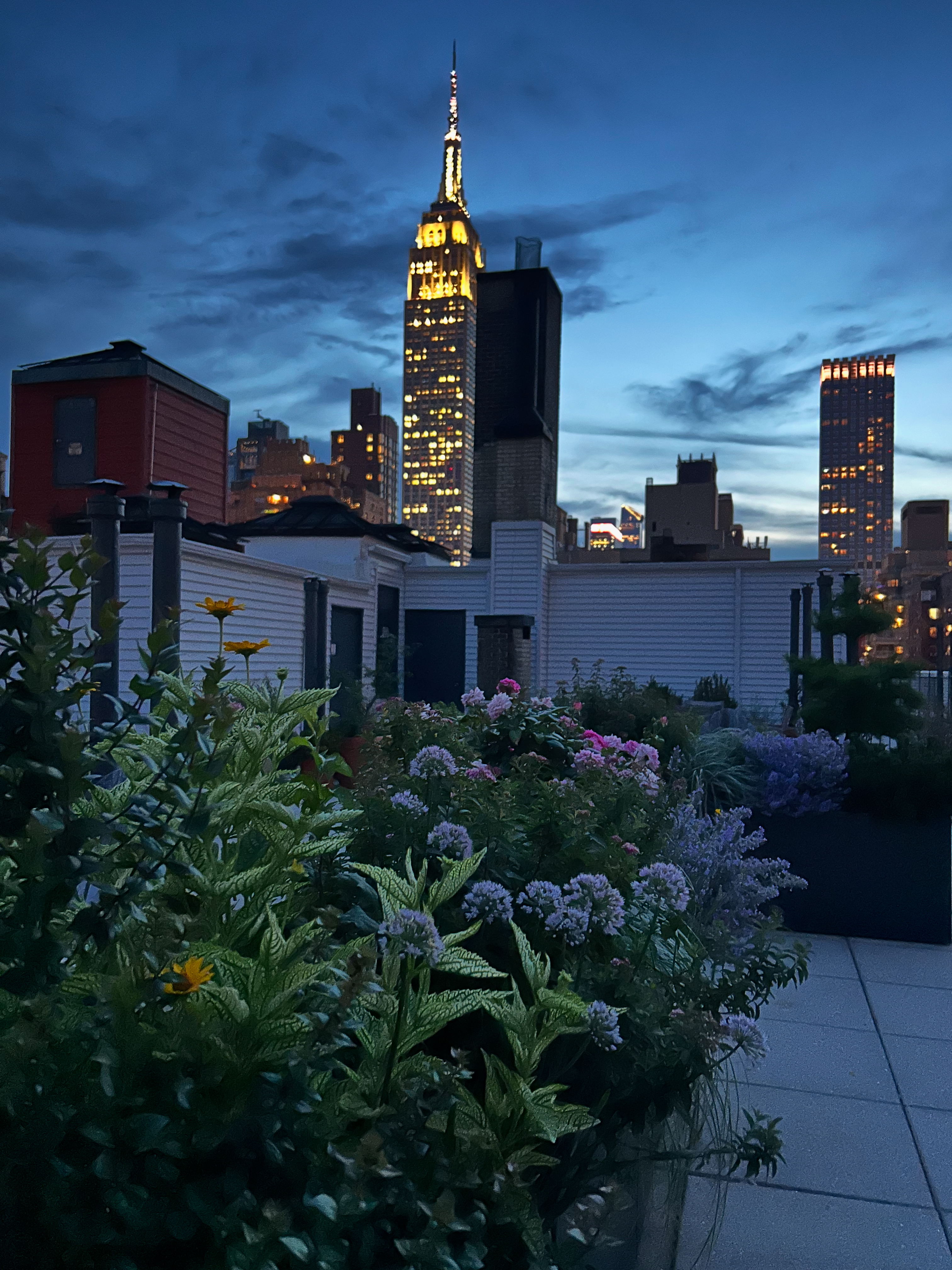136 East 36th Street, Unit 5D Manhattan, NY 10016 - Photo 15 of 19
