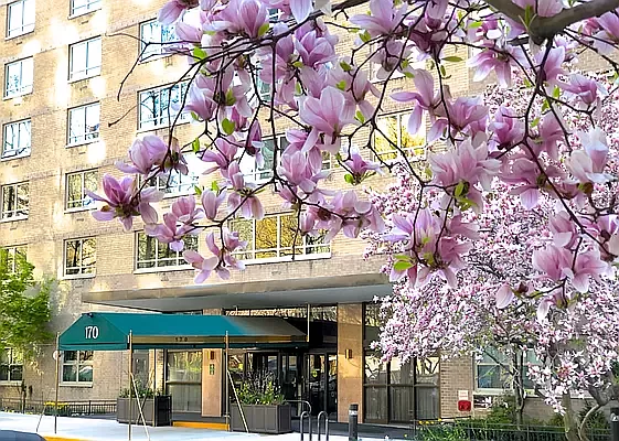 170 West End Avenue, Unit 15L Manhattan, NY 10023 - Photo 7 of 11 front view of a multi story building with a tree