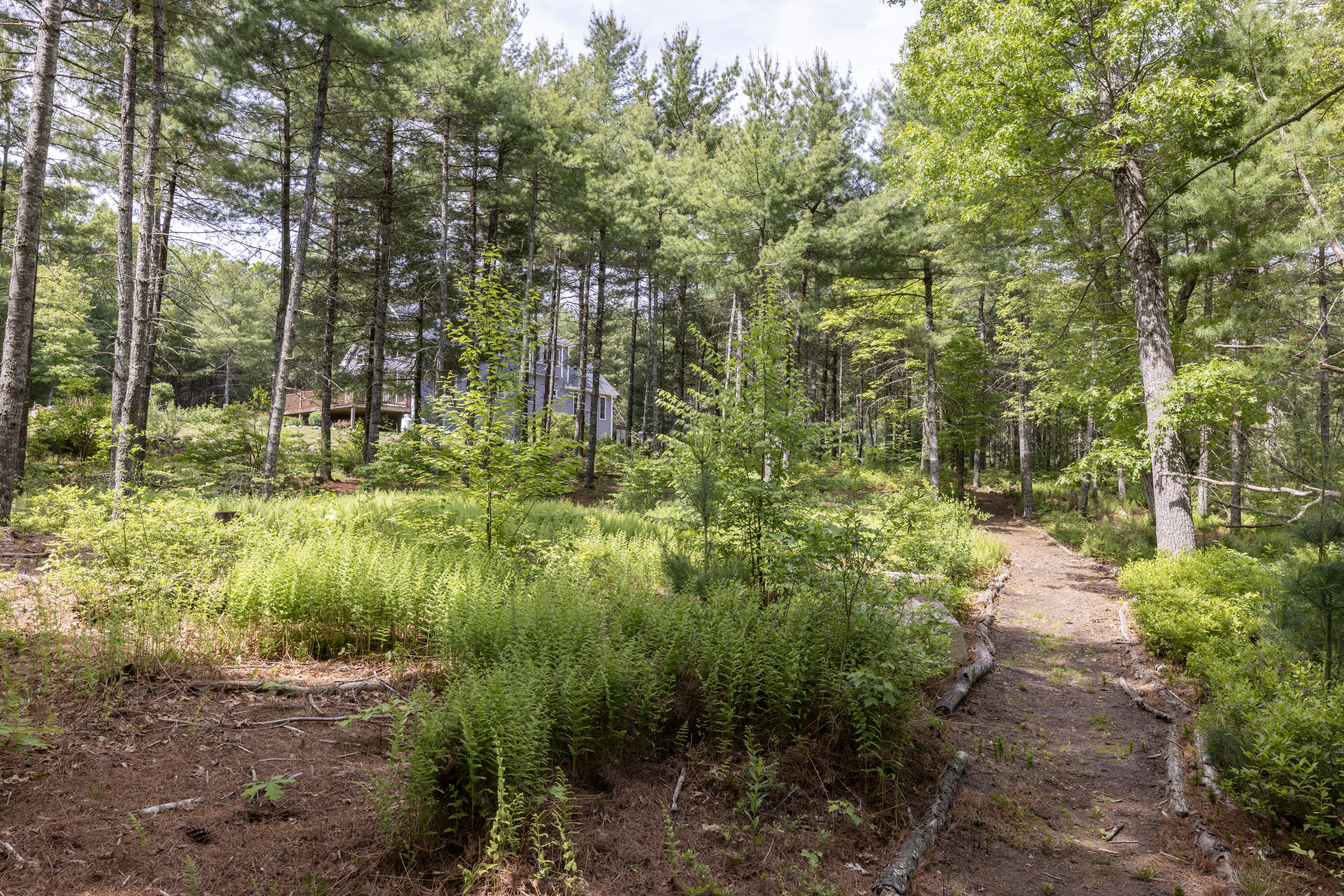 216 Plain Road West Greenwich, RI 02817 - Photo 12 of 23