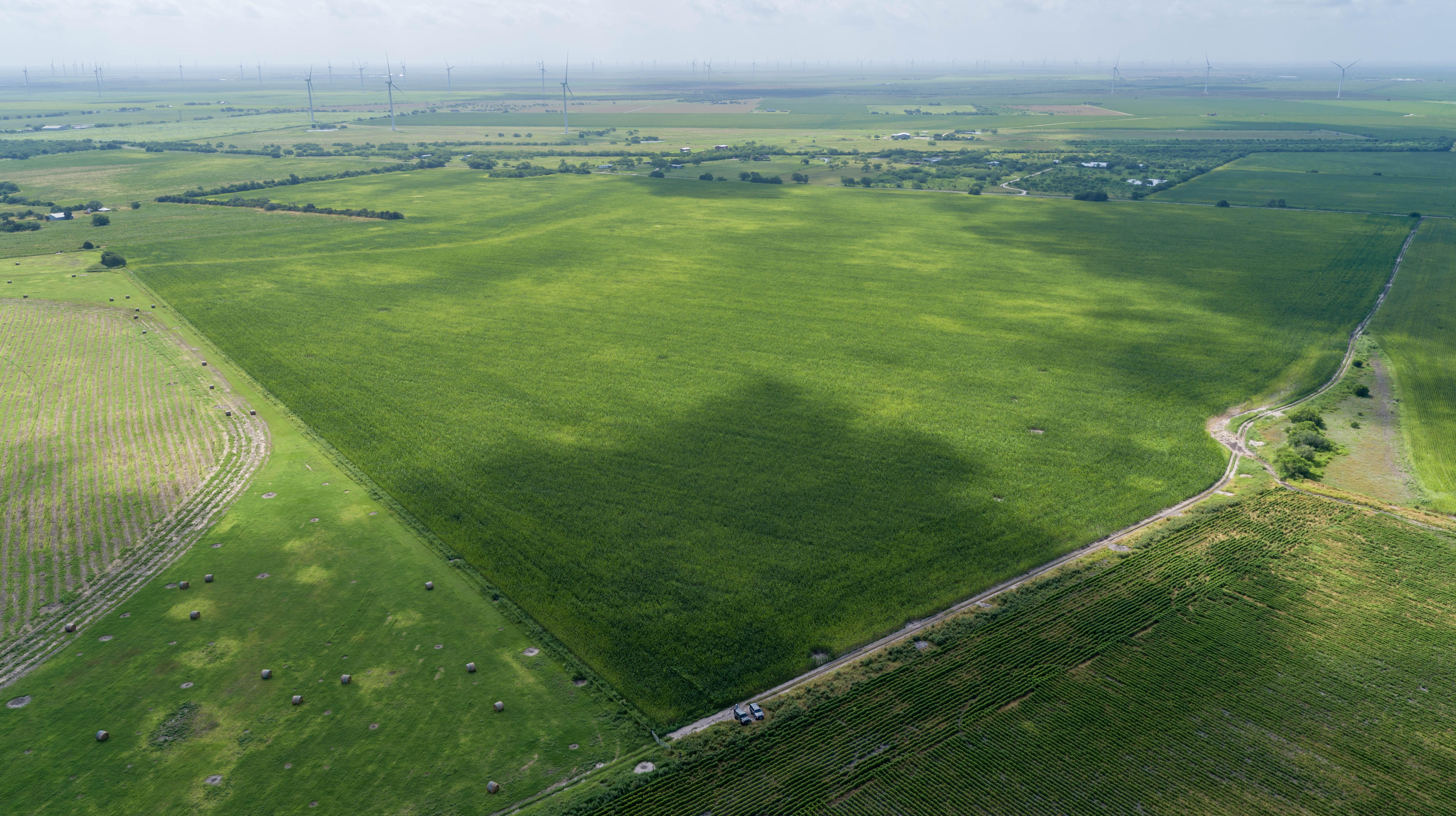 0 Fm 888 Mathis, TX 78368 - Photo 10 of 18