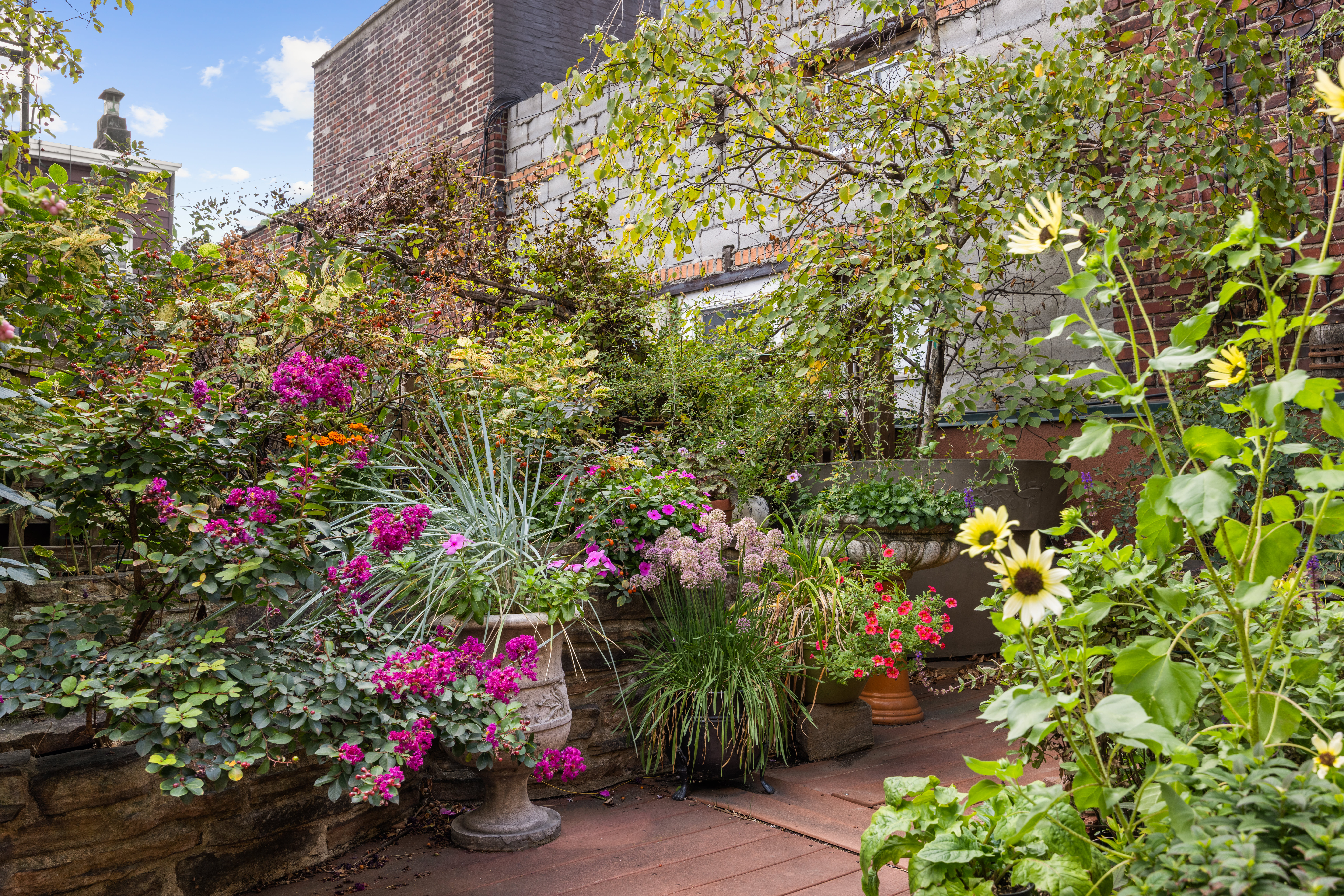 607 Manhattan Avenue, Unit 2 Brooklyn, NY 11222 - Photo 12 of 14 a view of a flower