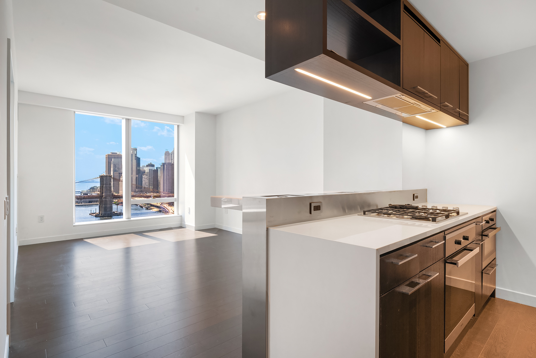 252 South Street, Unit 25C Manhattan, NY 10002 - Photo 2 of 14