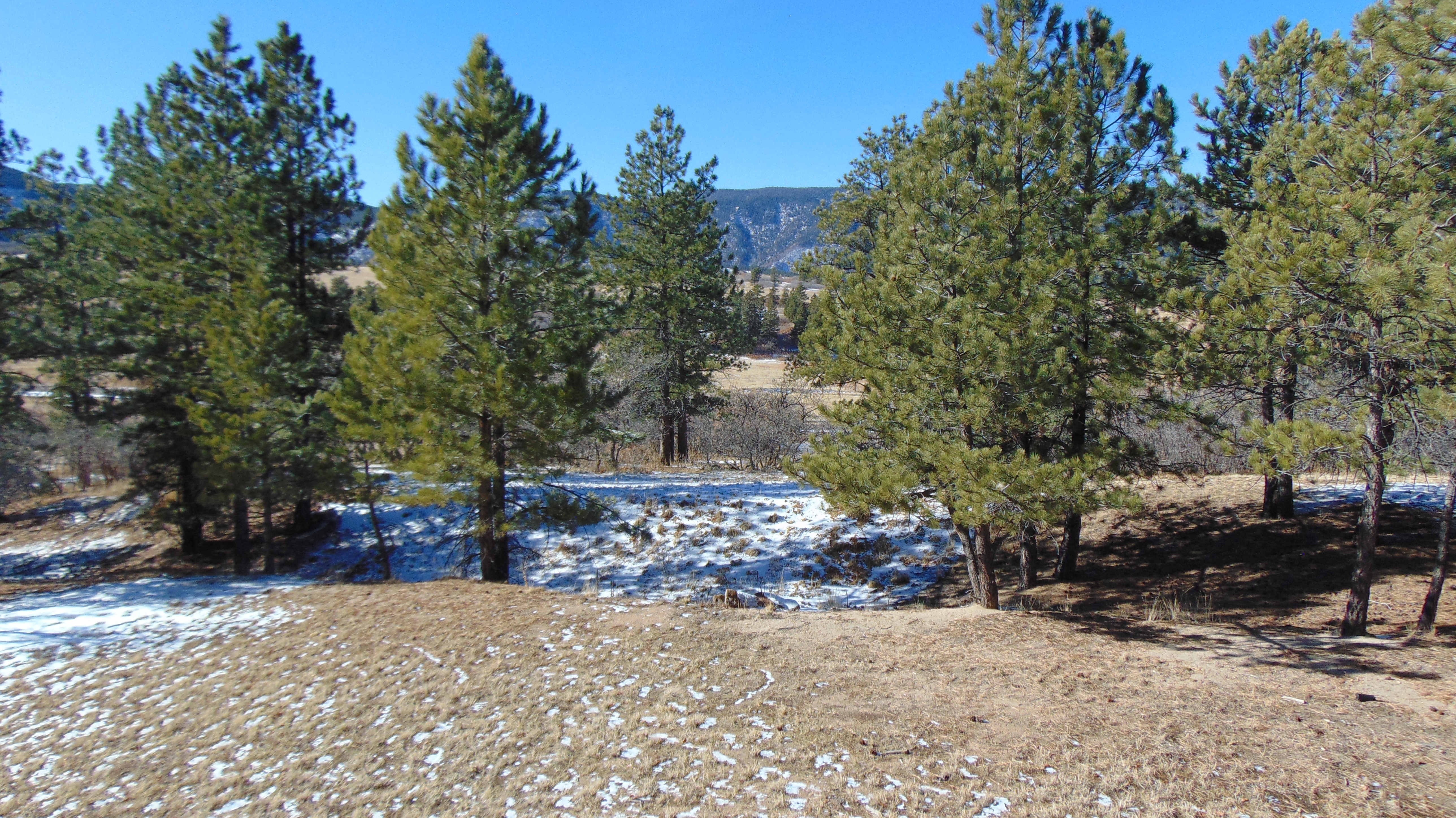 9676 South Perry Park Road Larkspur, CO 80118 - Photo 13 of 16