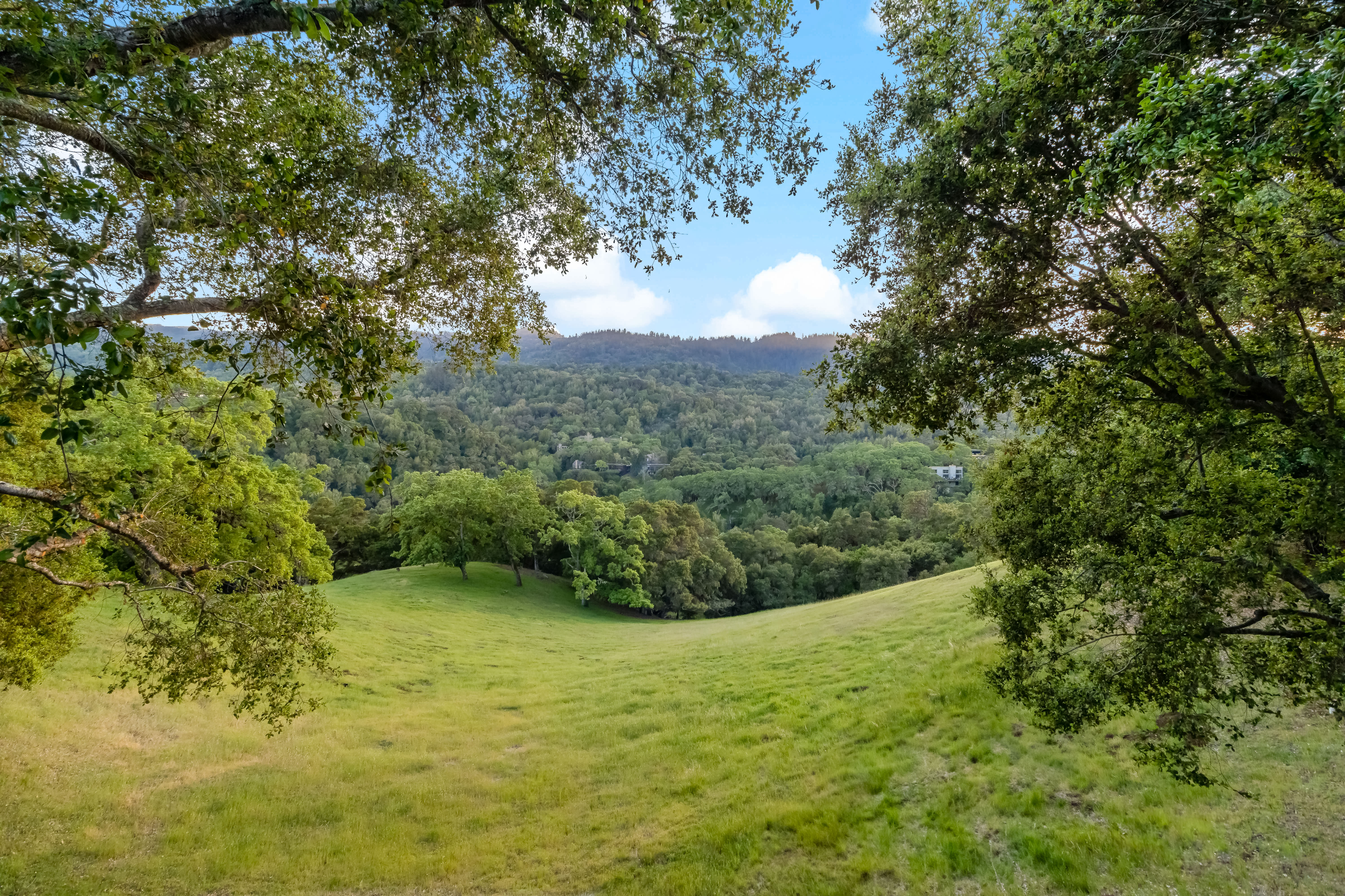 8 Hawk View Portola Valley, CA 94028 - Photo 1 of 1
