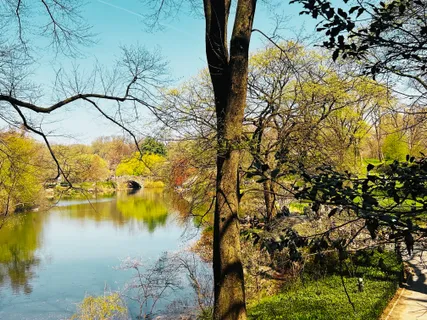 $2,500,000 | 24 Central Park South, Unit 11W | Central Park South