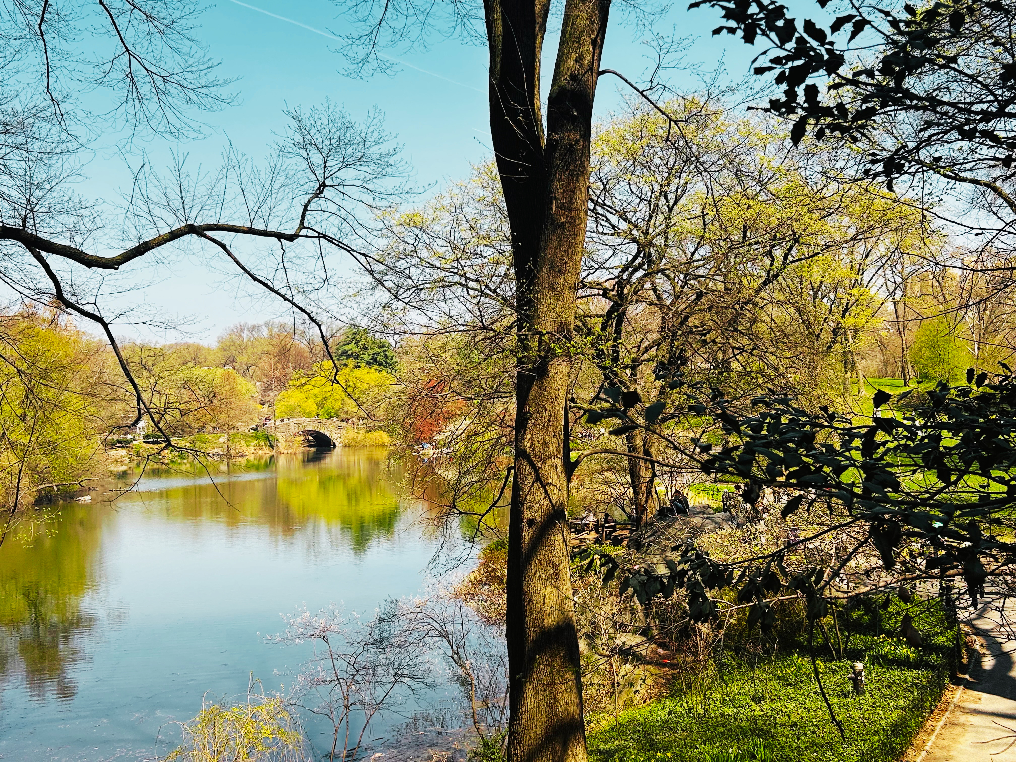 24 Central Park South, Unit 11W Manhattan, NY 10019 - Photo 15 of 16