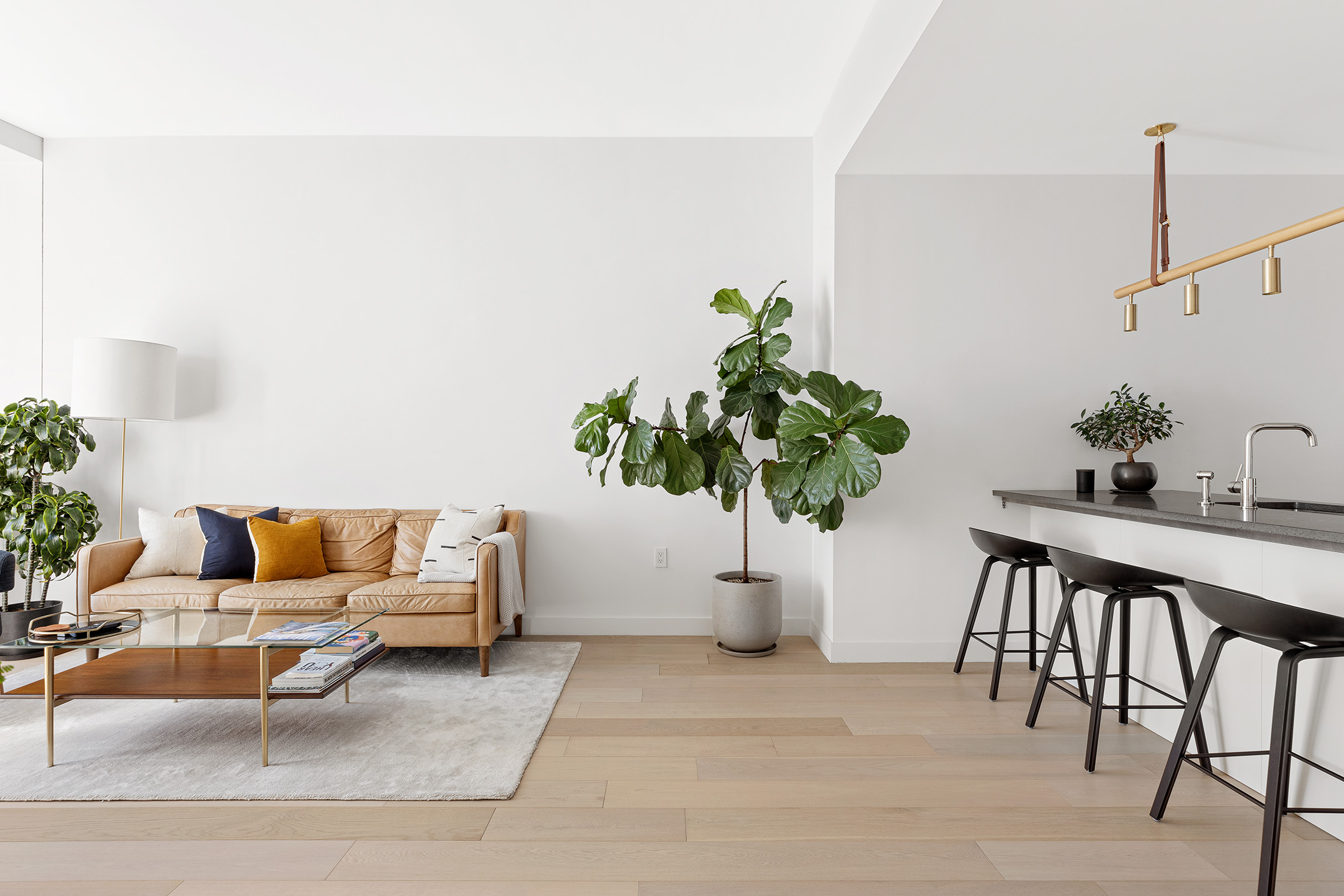 11 Hoyt Street, Unit 42C Brooklyn, NY 11201 - Photo 2 of 15 a living room with furniture and a potted plant