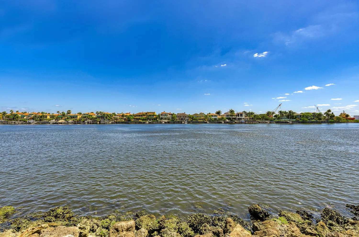 a view of a lake with a yard
