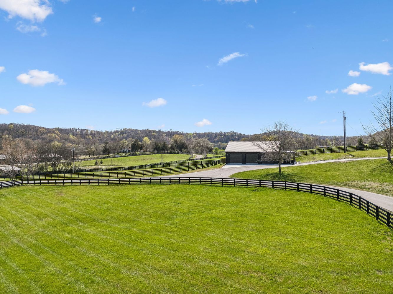 a view of a swimming pool with lawn chairs and large trees
