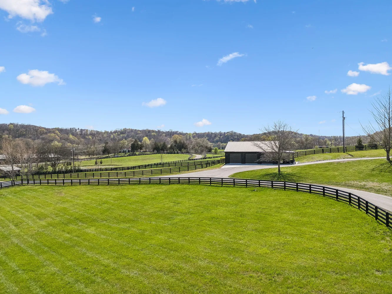 a view of a swimming pool with lawn chairs and large trees