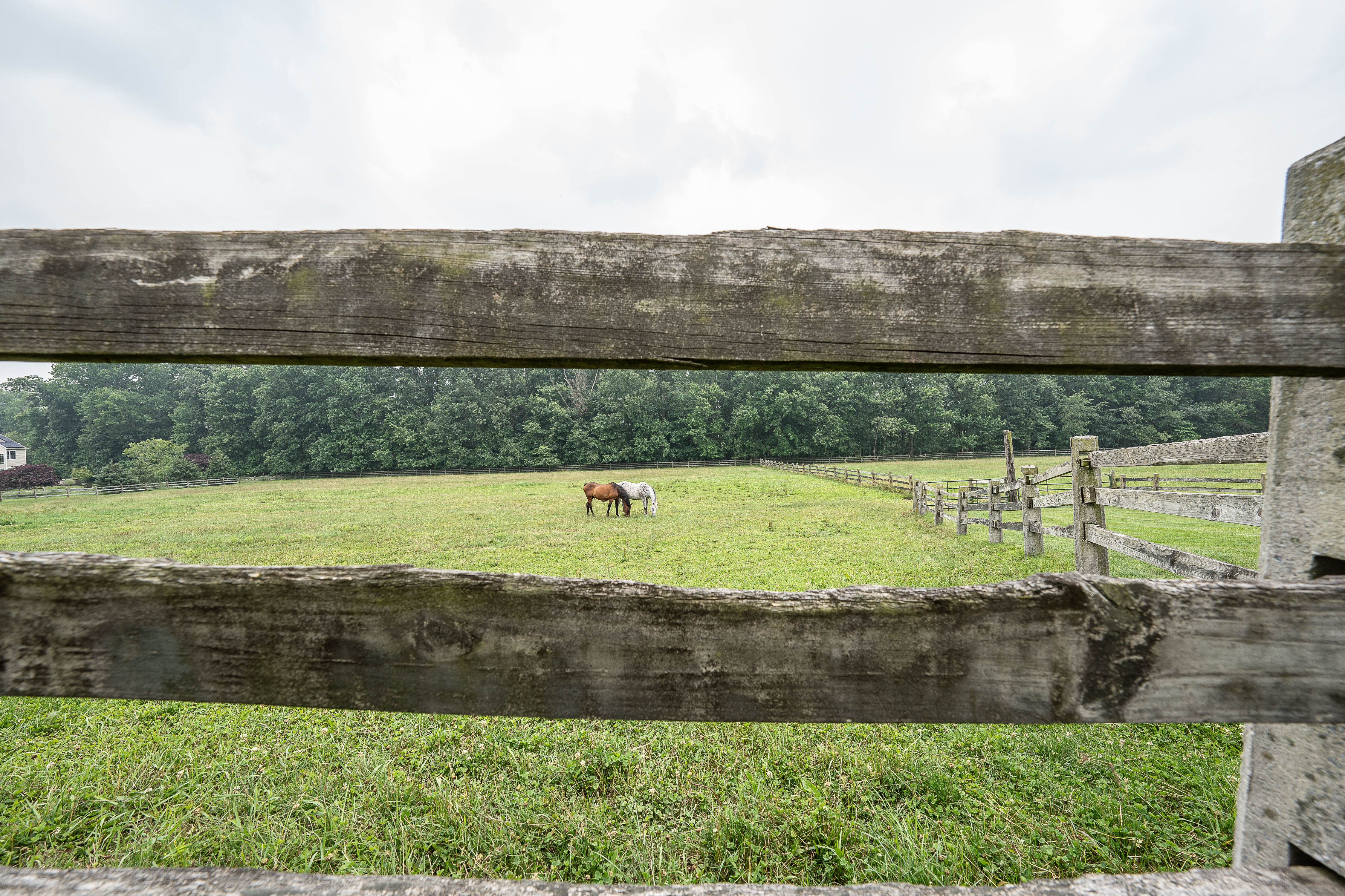 500 East Reeceville Road Downingtown, PA 19335 - Photo 108 of 135
