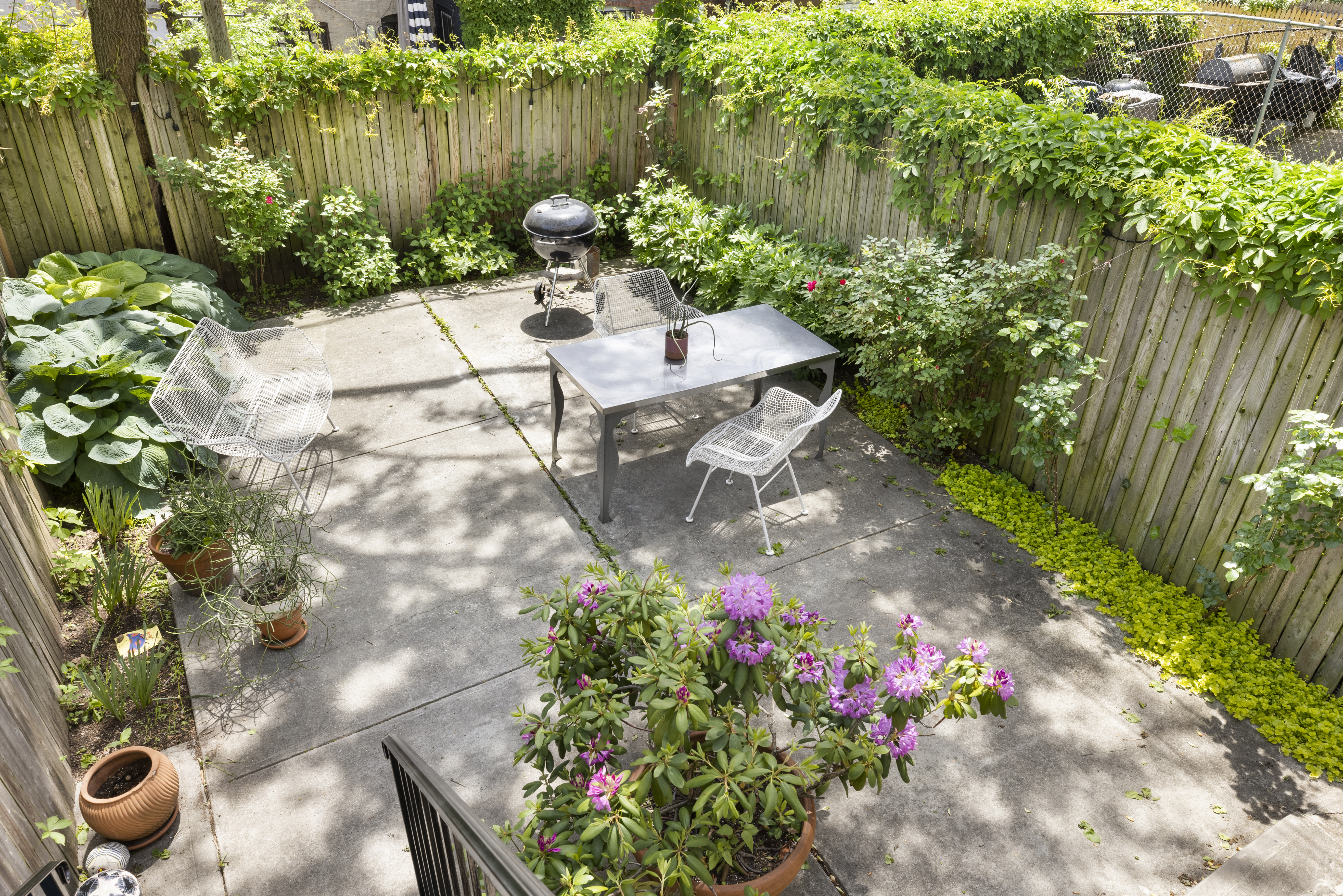 778 Hancock Street, Unit 2 Brooklyn, NY 11233 - Photo 9 of 11 a view of a garden with plants