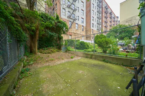 a view of swimming pool with a large trees