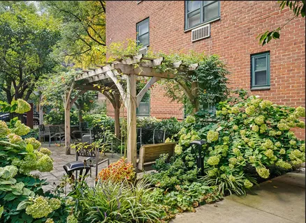 a view of a garden with plants