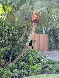 a view of a house with a tree and a yard