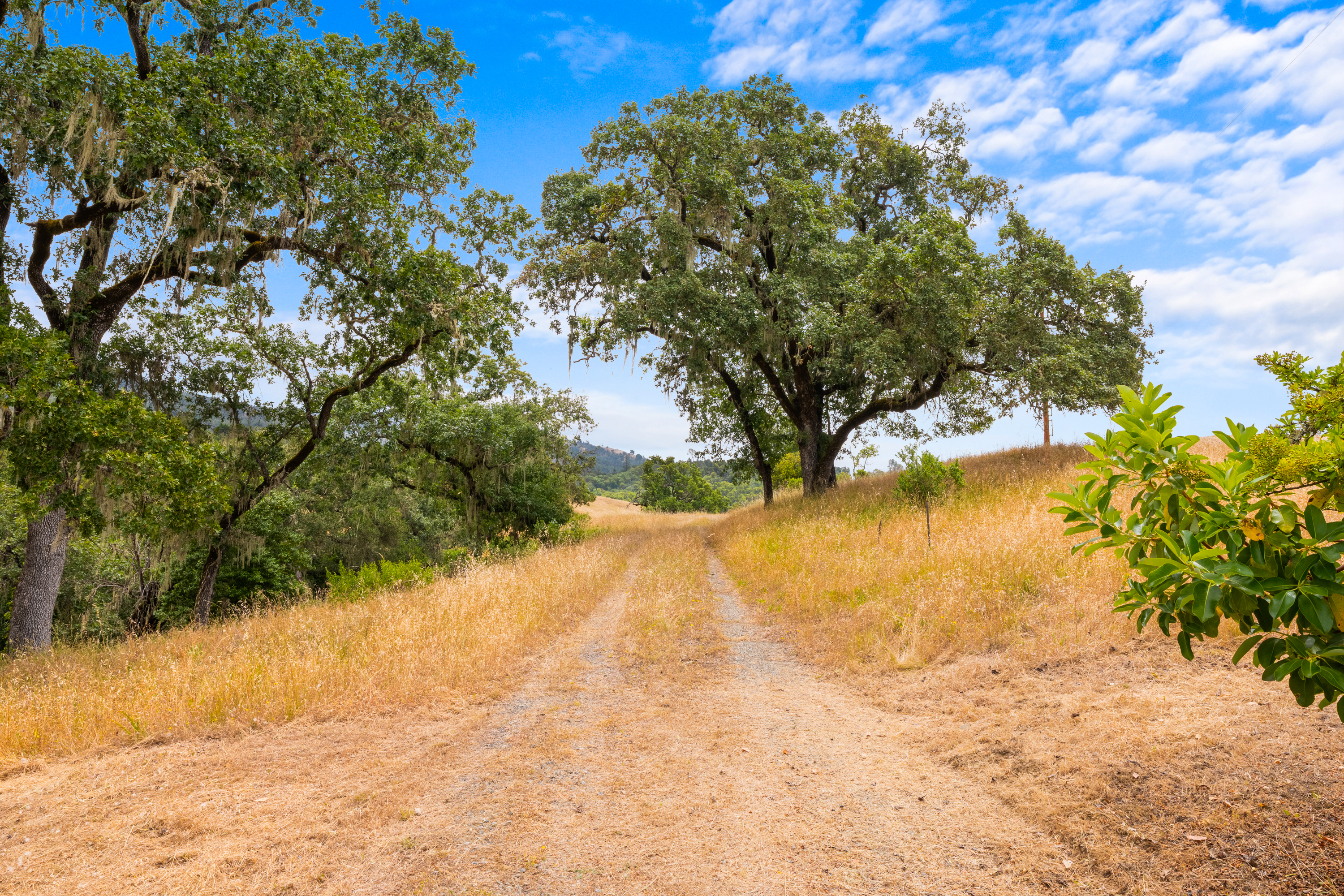 23655 Vineyard Road Geyserville, CA 95441 - Photo 7 of 25